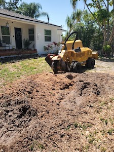 D&Y Tree Services place picture