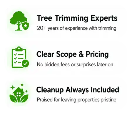 Tree Trimming Benefits