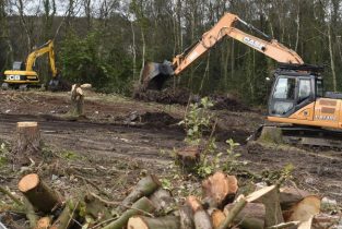 Construction-Tree-Clearing-600×600 Construction-Tree-Clearing-600x600